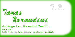 tamas morandini business card